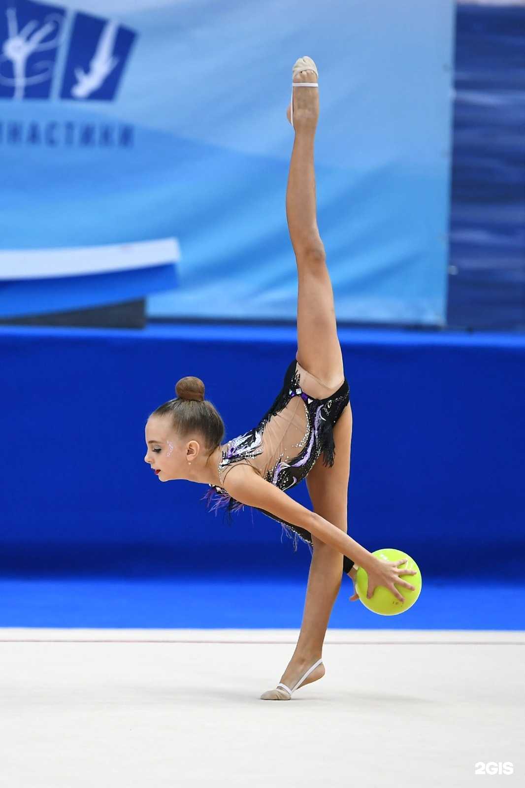 Отзывы на компанию Галактика в Новосибирске c фото