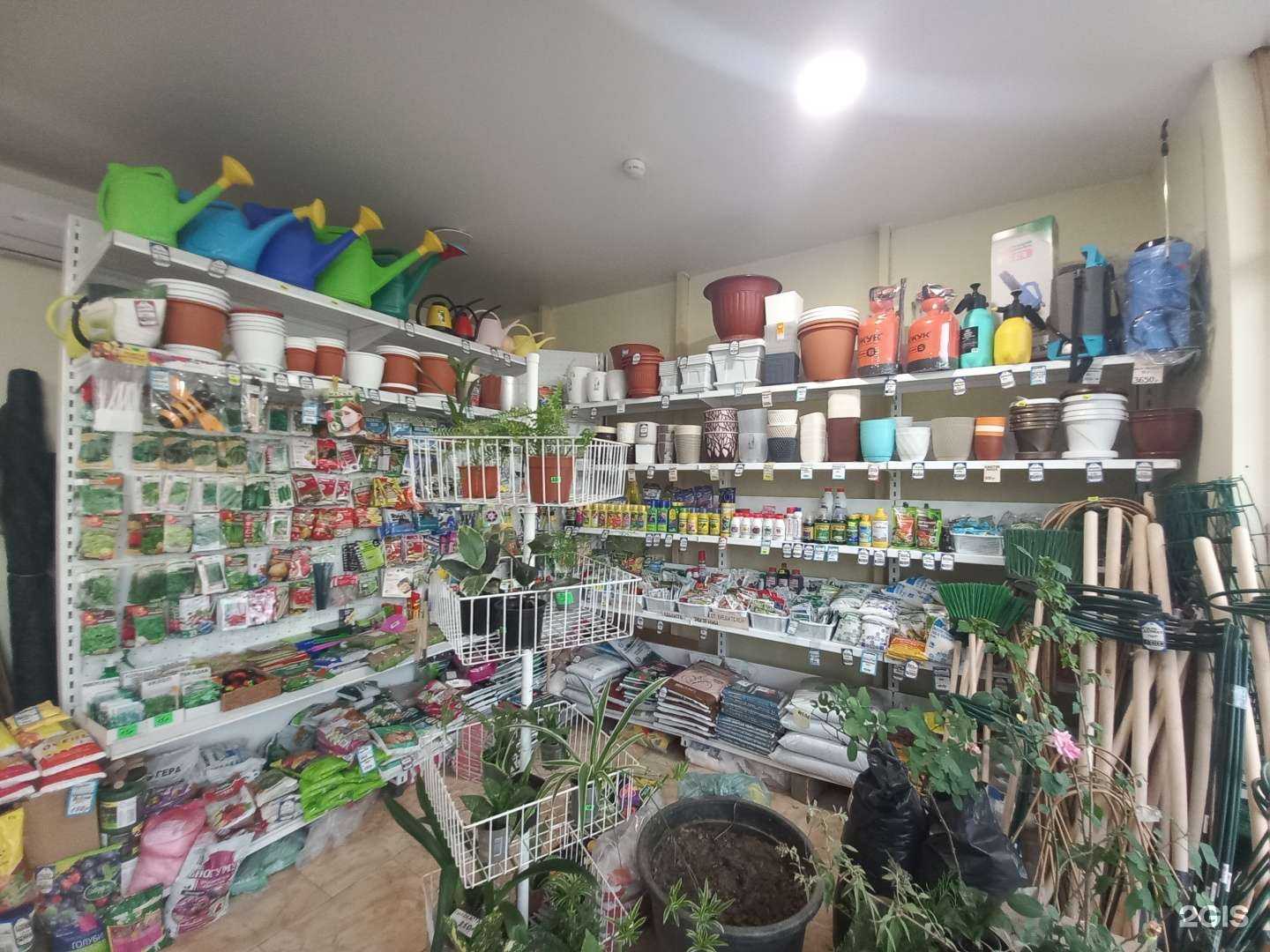 Отзывы на компанию Садовод в Краснодаре c фото