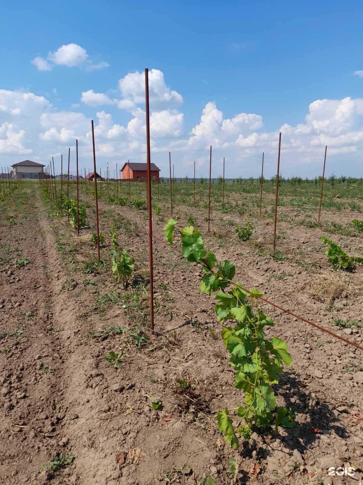 Отзывы на компанию Алонка в г. Владимир c фото