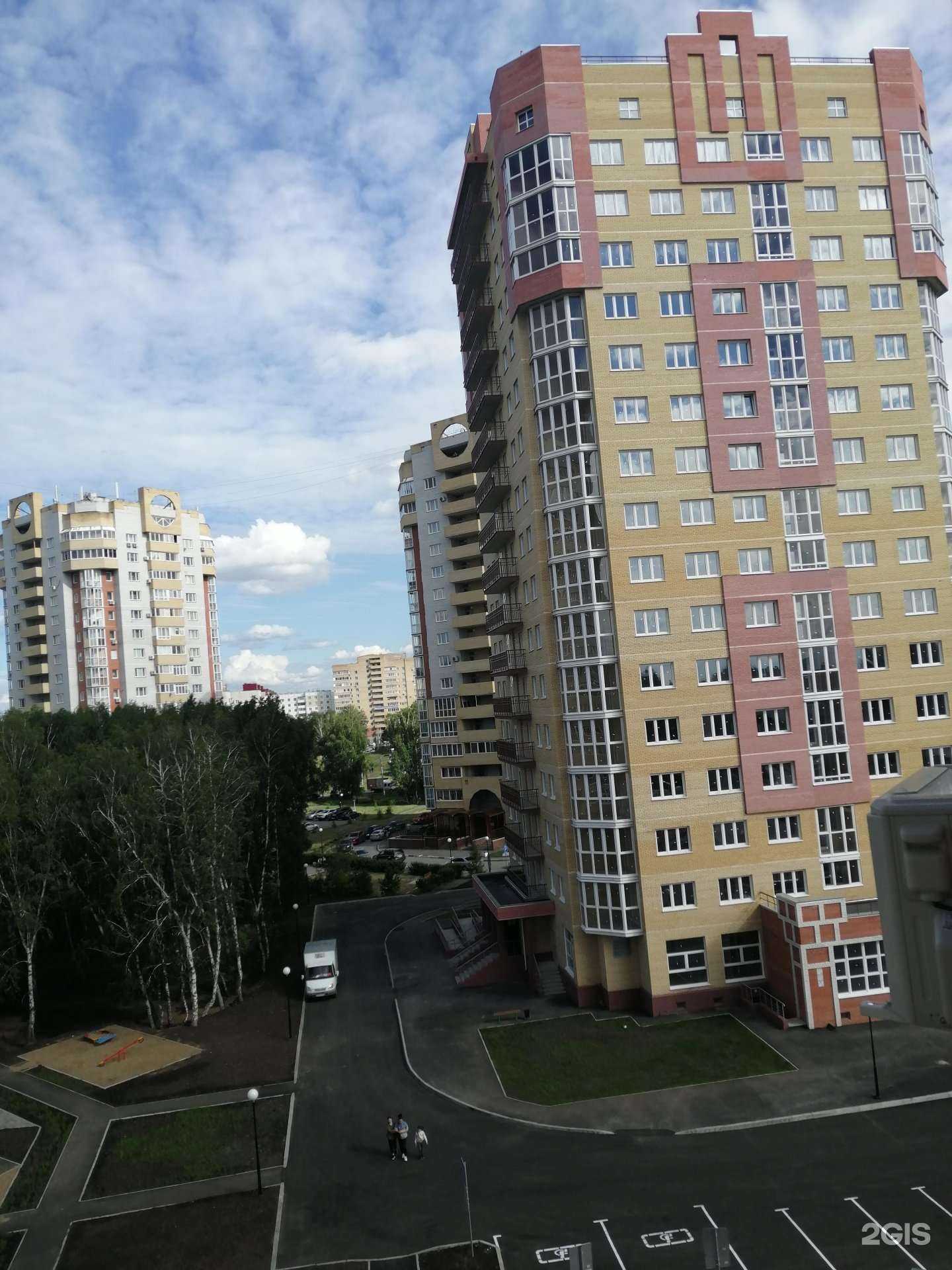 Отзывы на компанию Усатый друг в Омске c фото - фотография 2 из 2