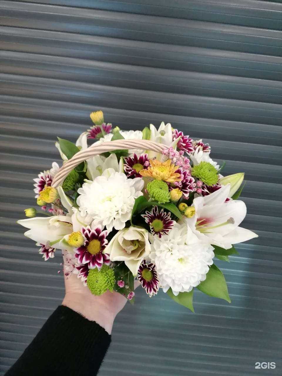 Отзывы на компанию Аревик в Новосибирске c фото