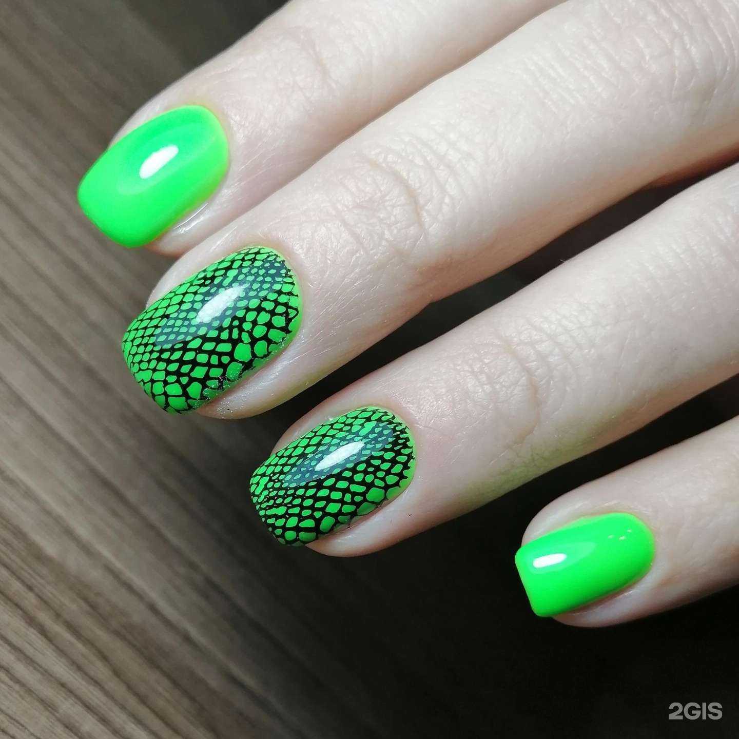 Отзывы на компанию Хамелеон в Нижнем Тагиле c фото