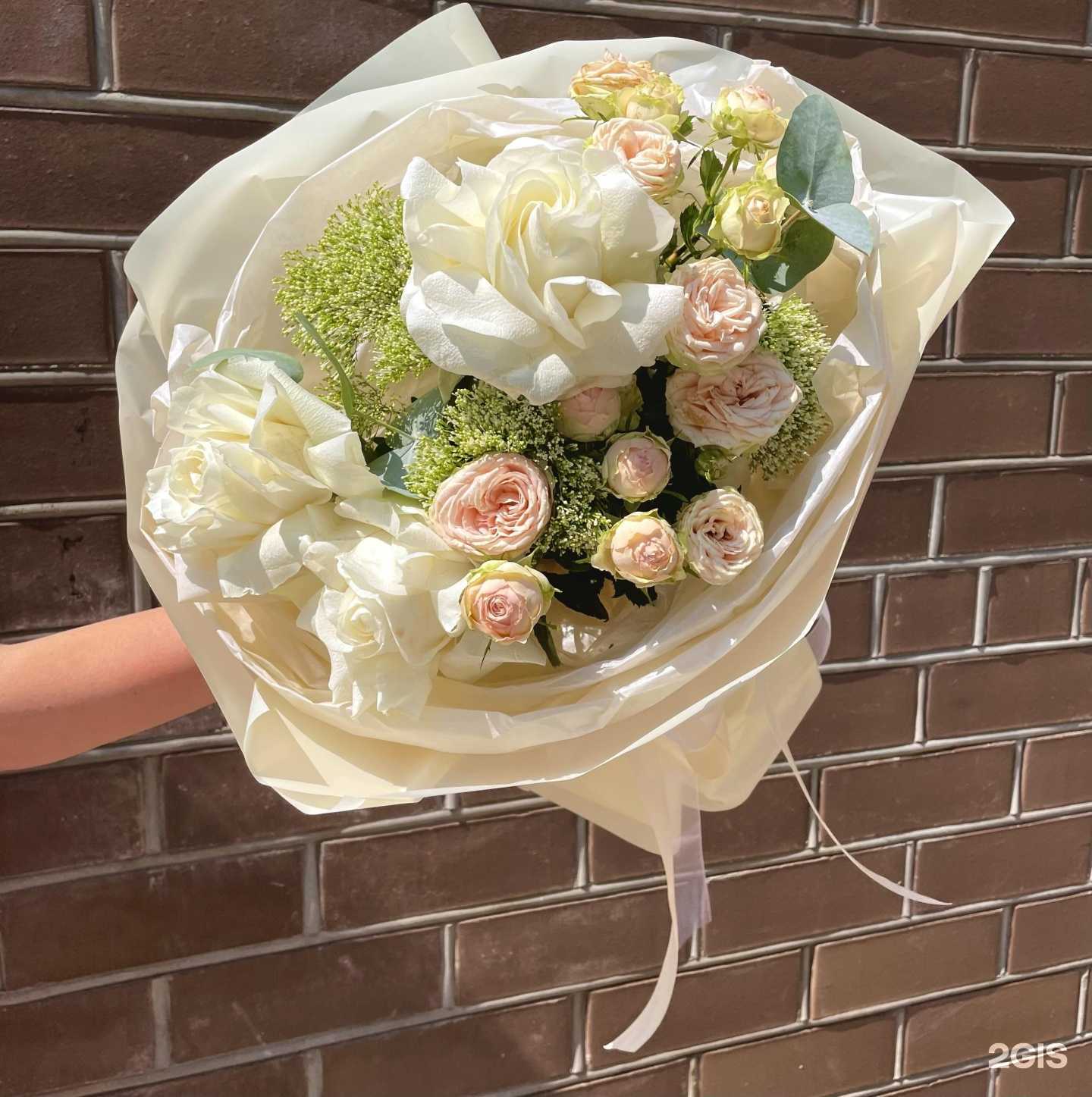 Отзывы на компанию Trava в г. Ростов-на-Дону c фото