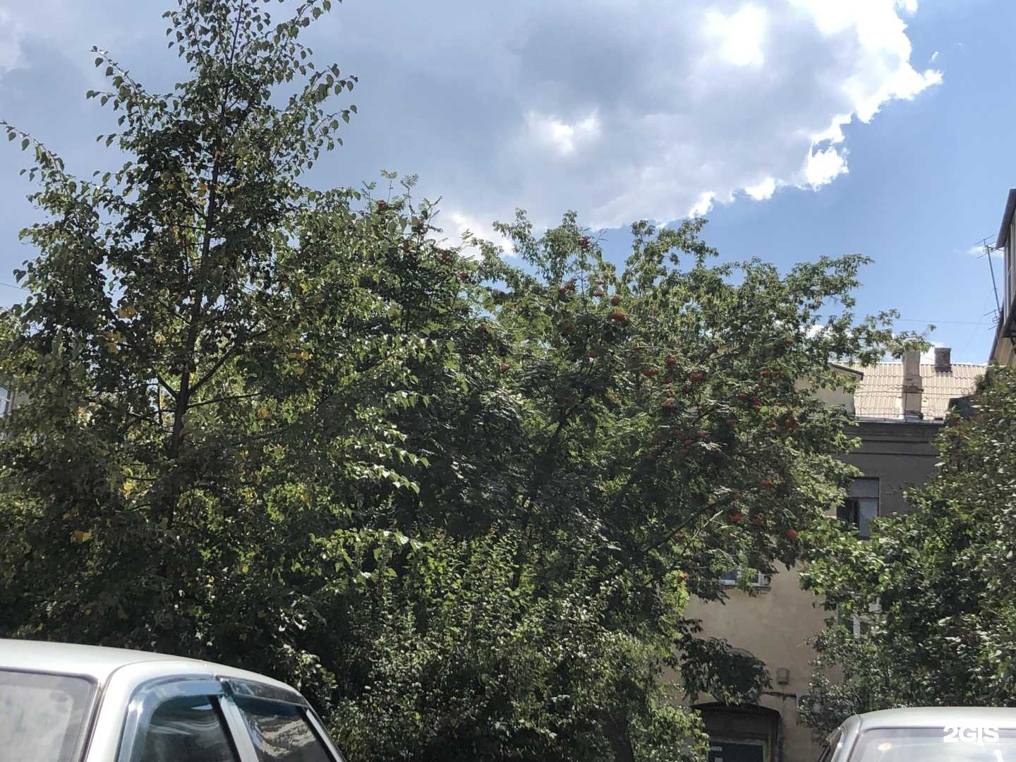 Отзывы на компанию КУДО ММА в Магнитогорске c фото - фотография 2 из 2