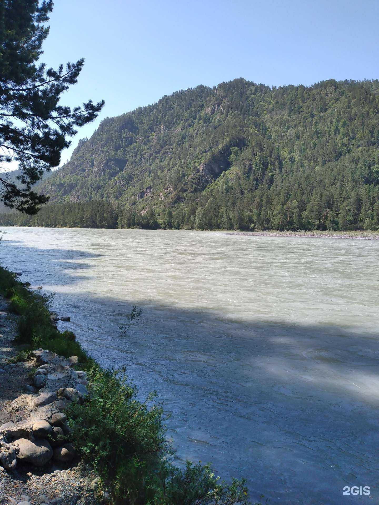 Отзывы на компанию Лаваш и шашлык в г. Барнаул c фото