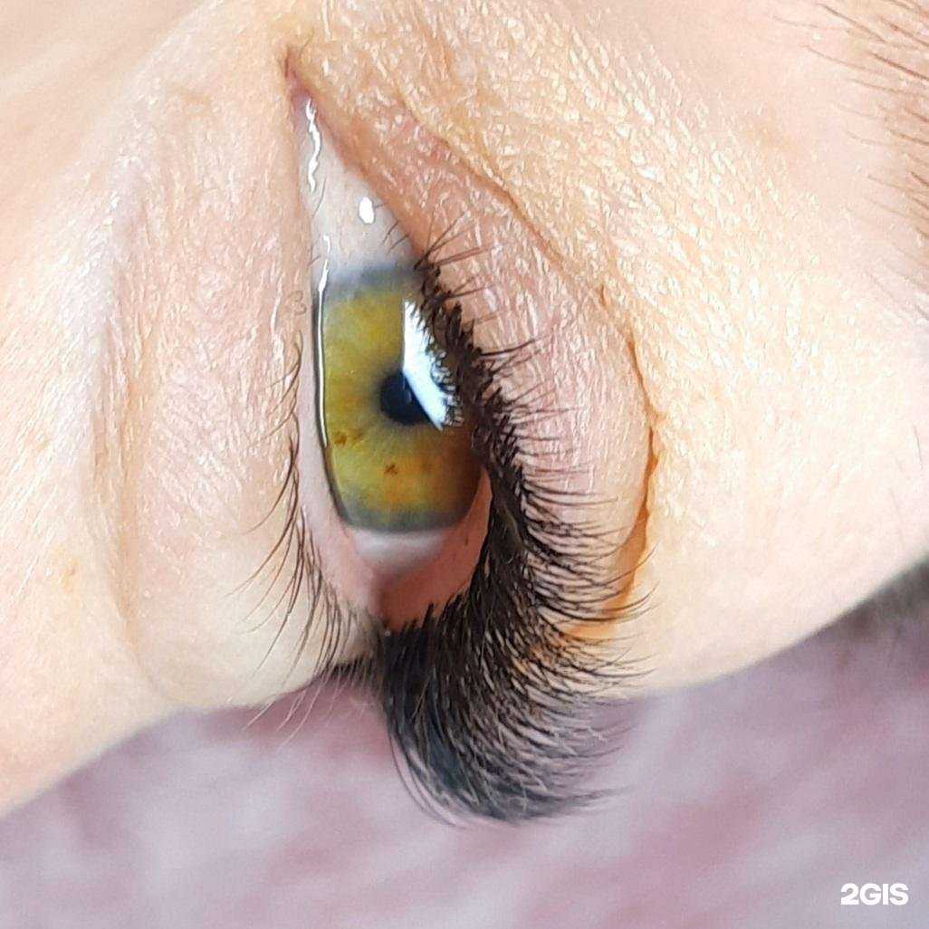 Отзывы на компанию Evvi lash в г. Сургут c фото