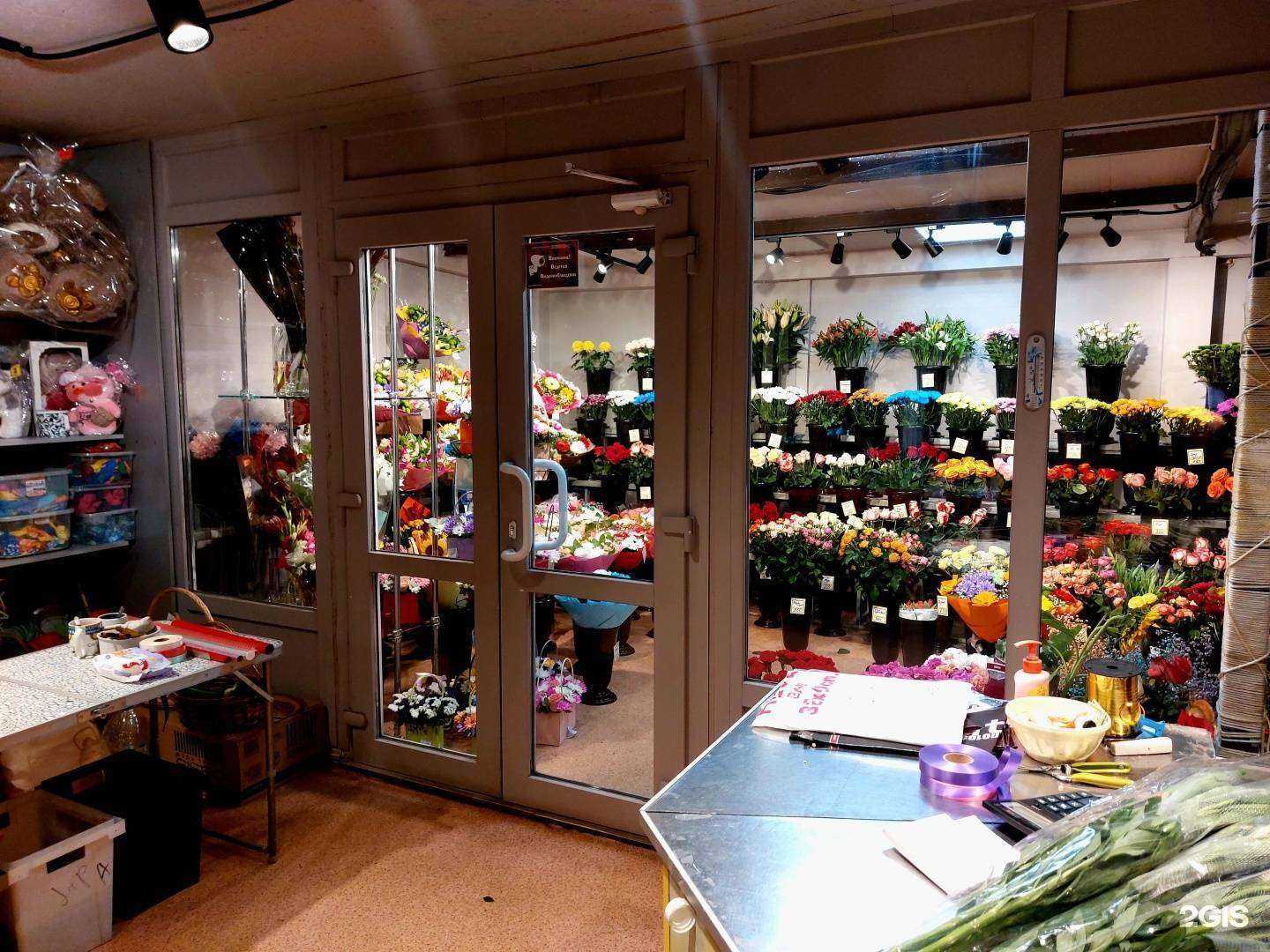 Отзывы на компанию Весна в Рязани c фото