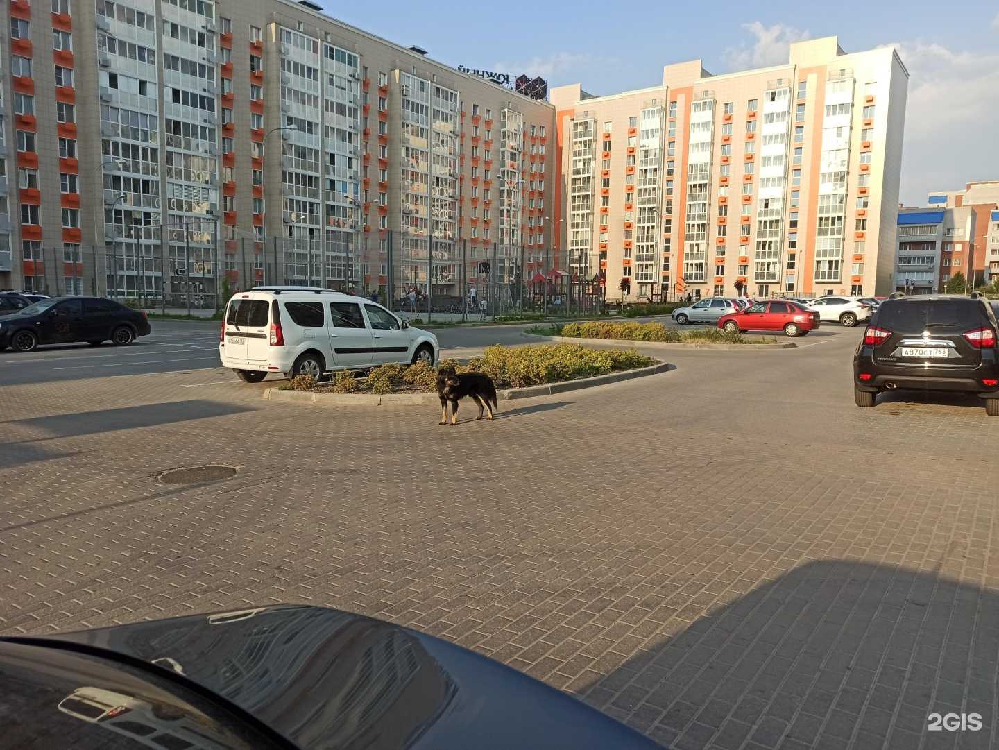 Отзывы на компанию О, ручки в Тольятти c фото - фотография 2 из 2