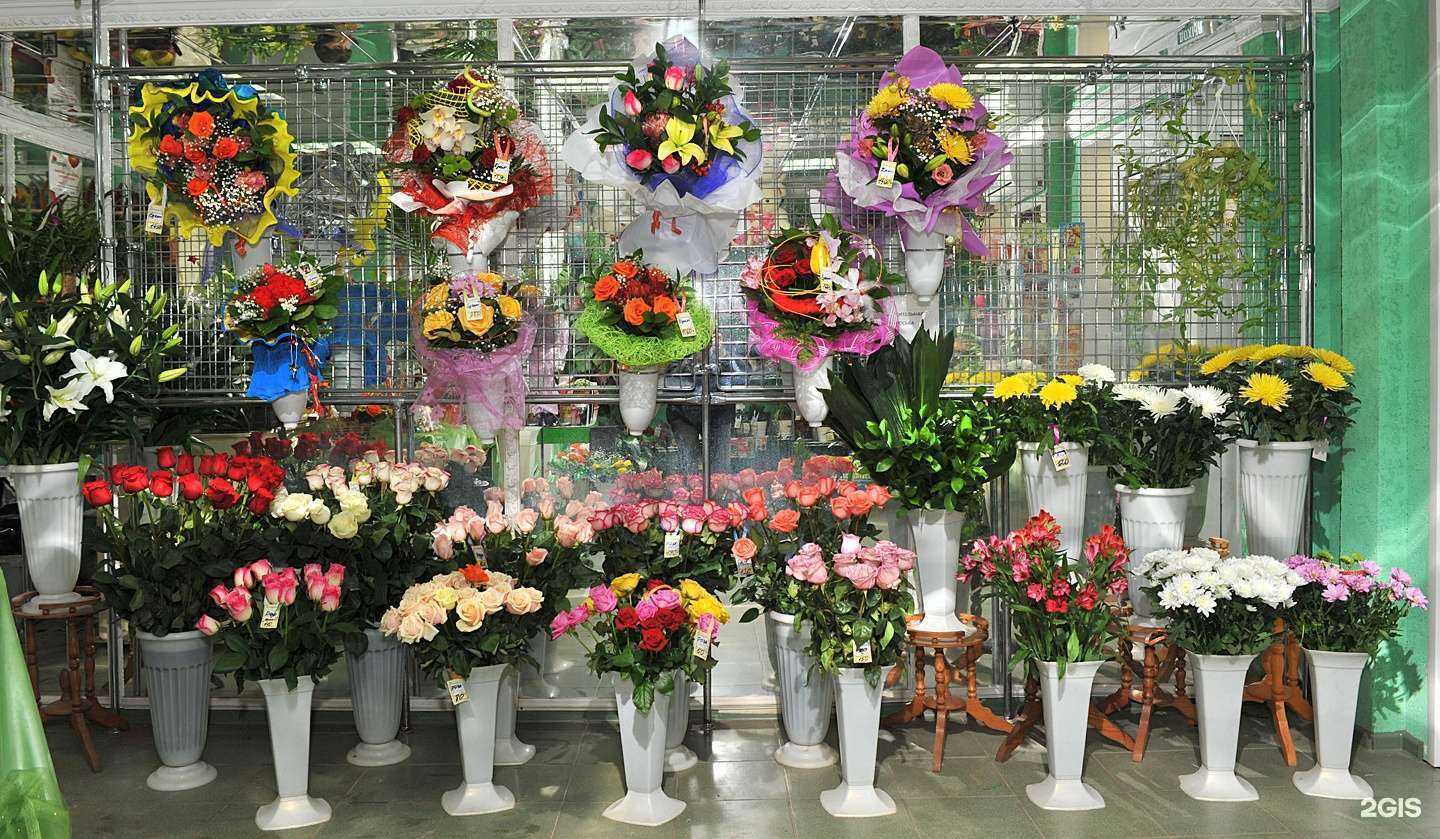 Отзывы на компанию Маргаритка в г. Иваново c фото