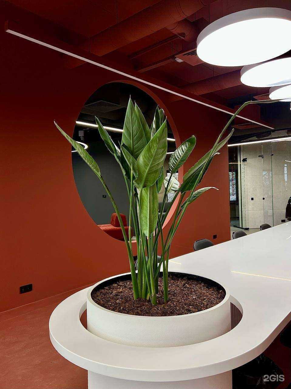 Отзывы на компанию Коворкинг в г. Воронеж c фото