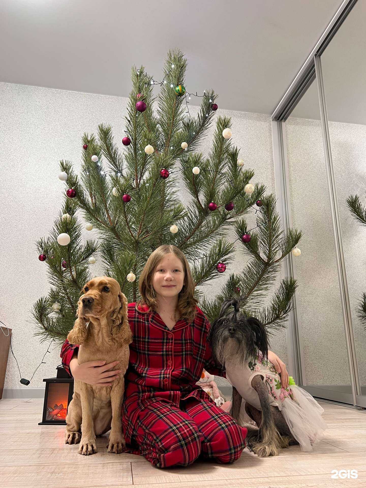 Отзывы на компанию Груминг-салон в г. Ставрополь c фото