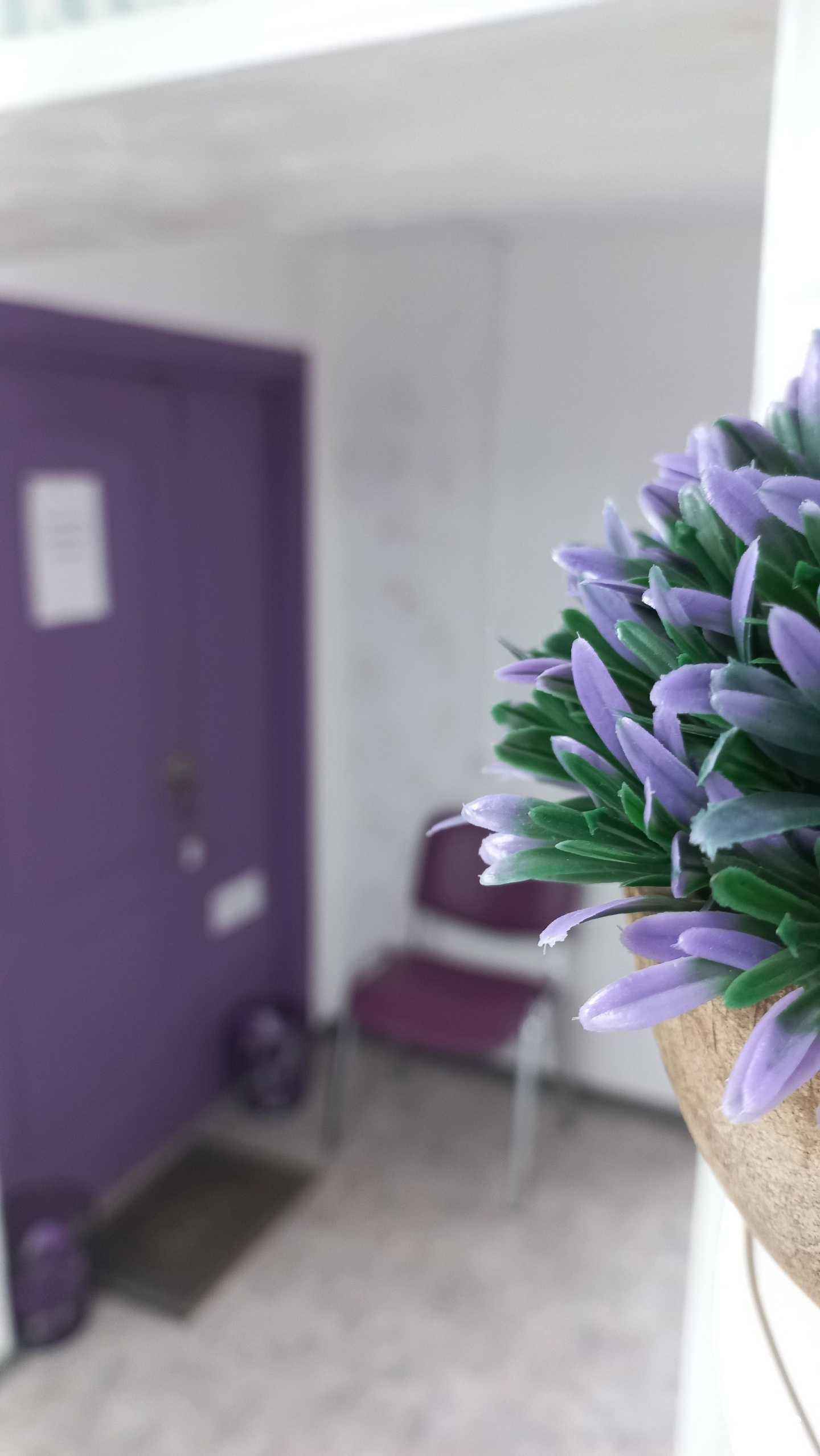 Отзывы на компанию Beauty Room в г. Хабаровск c фото