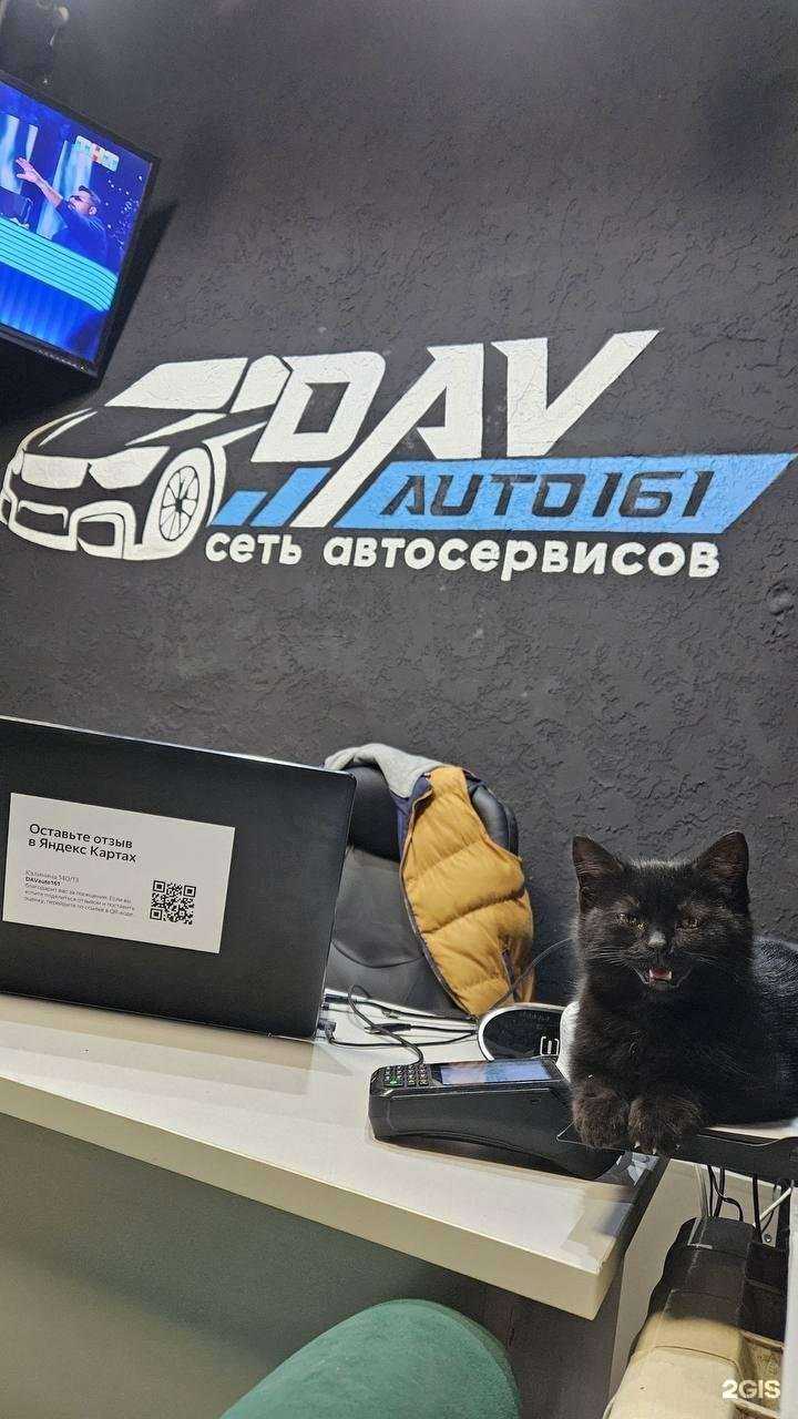 Отзывы на компанию DAVauto161 в Батайске c фото