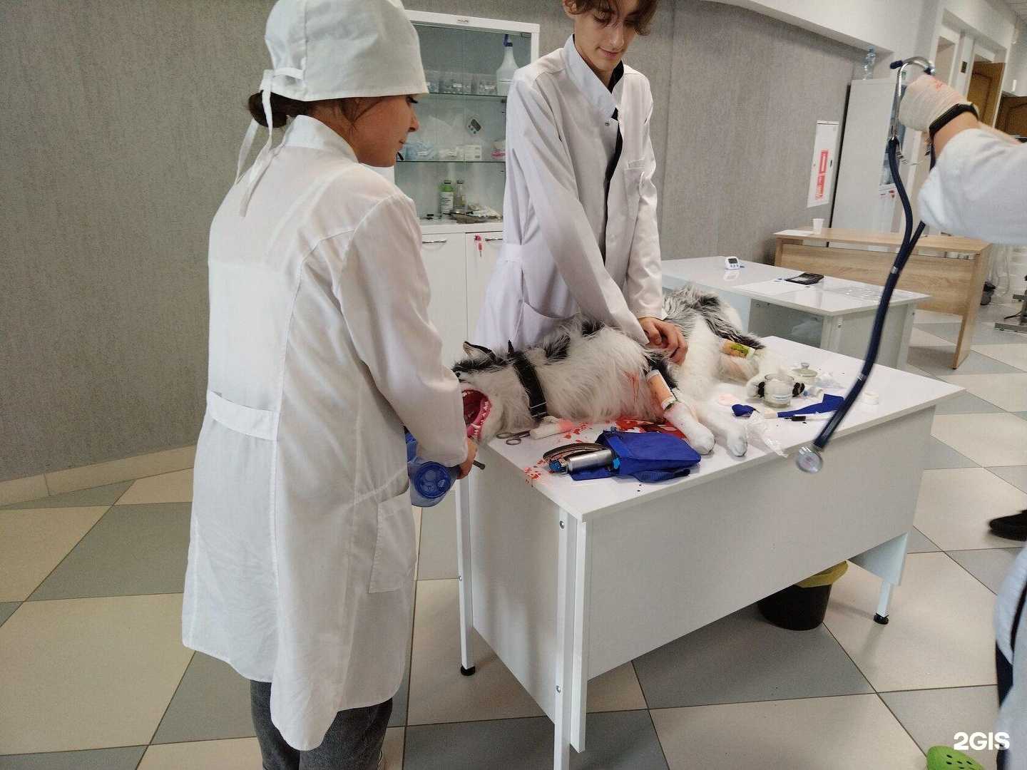 Отзывы на компанию Бк-студия в г. Нижний Новгород c фото