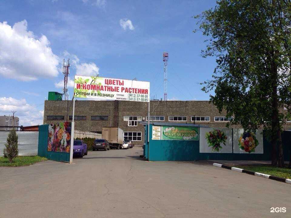 Отзывы на компанию Уральская Цветочная Компания в г. Ижевск c фото