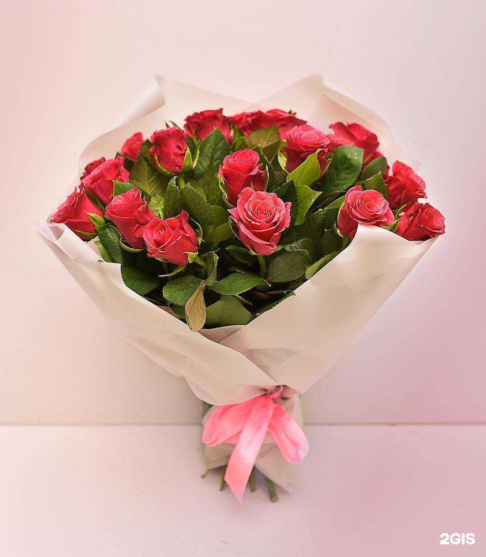 Отзывы на компанию Саната в Королёве c фото