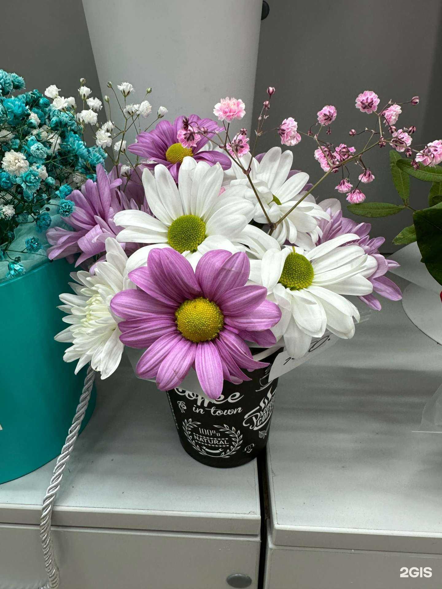 Отзывы на компанию Анастасия в Нижнем Новгороде c фото