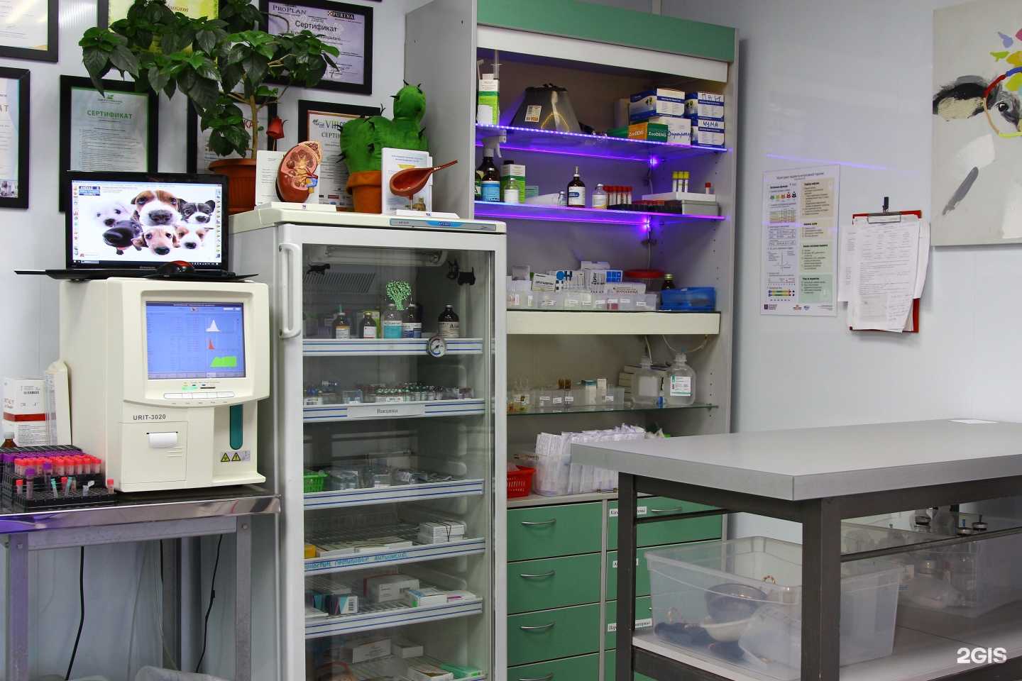 Отзывы на компанию Клиники ветеринарной помощи доктора Зубкова в г. Ростов-на-Дону c фото