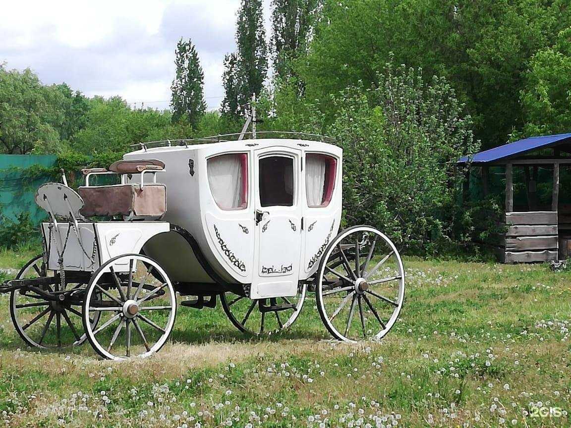 Отзывы на компанию Горностай в г. Липецк c фото