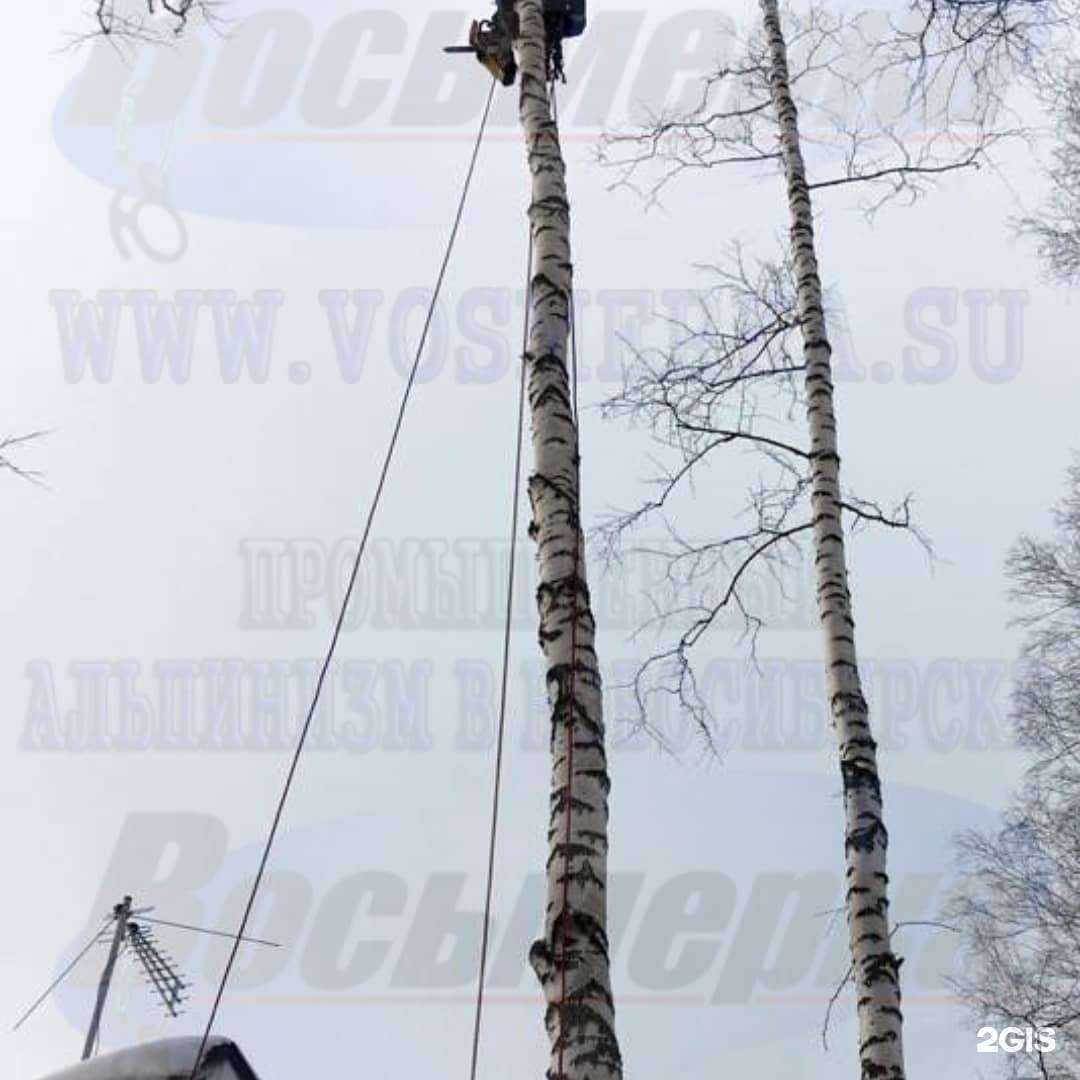 Отзывы на компанию Восьмёрка в г. Новосибирск c фото