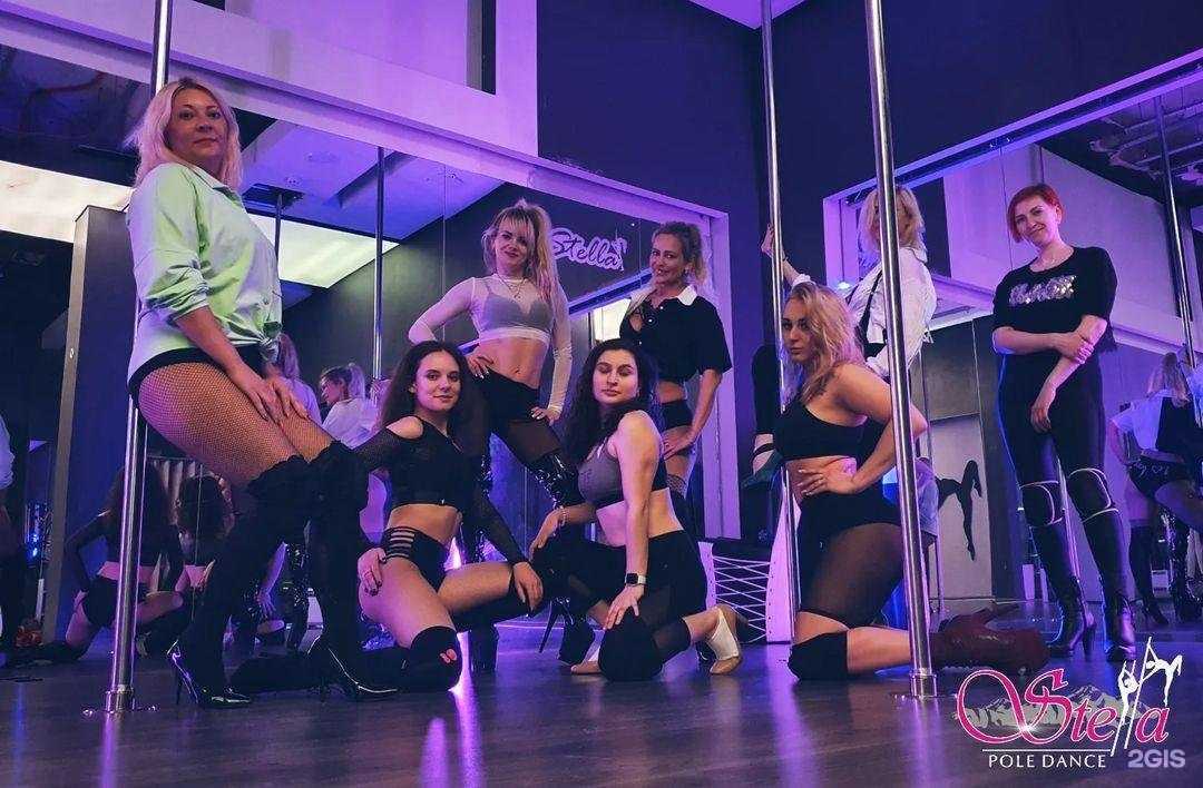 Отзывы на компанию Stella в Елизове c фото