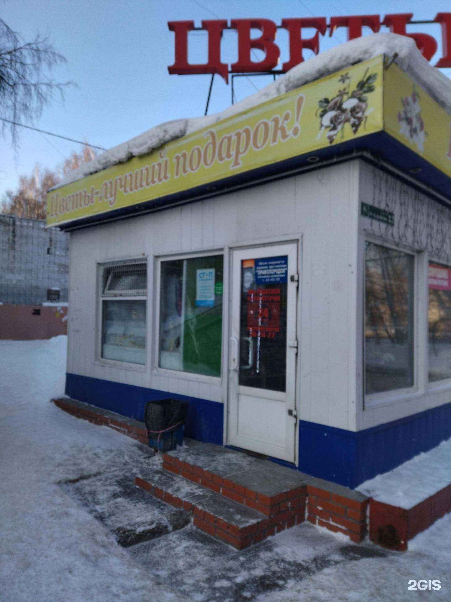 Отзывы на компанию Азалия в Томске c фото