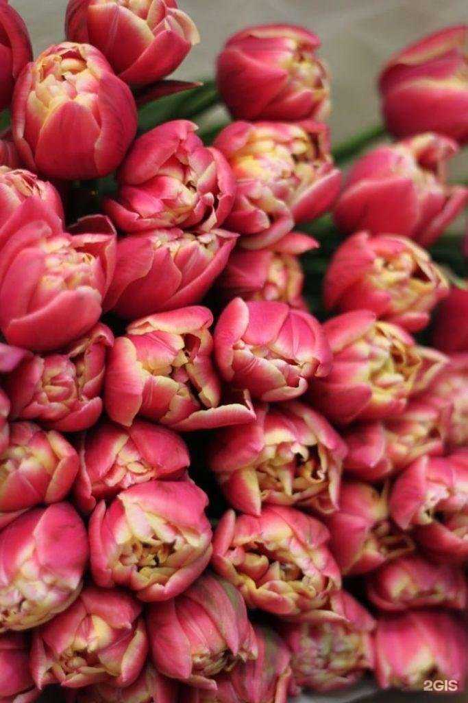 Отзывы на компанию Academy of flowers в Новосибирске c фото