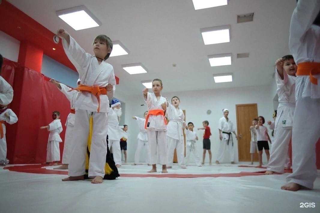 Отзывы на компанию Дао гармонии в Тюмени c фото