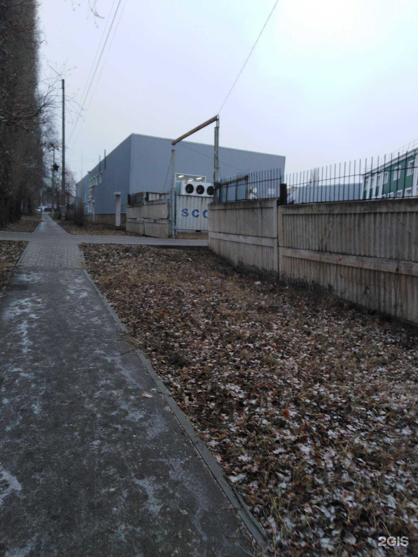 Отзывы на компанию Рыбоптмаркет в г. Тамбов c фото