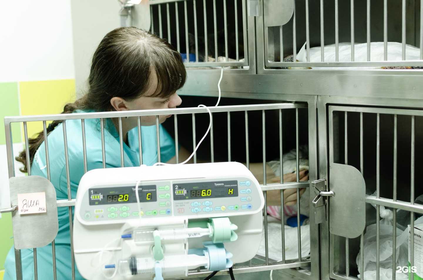 Отзывы на компанию Вместе с верным другом в Кирове c фото