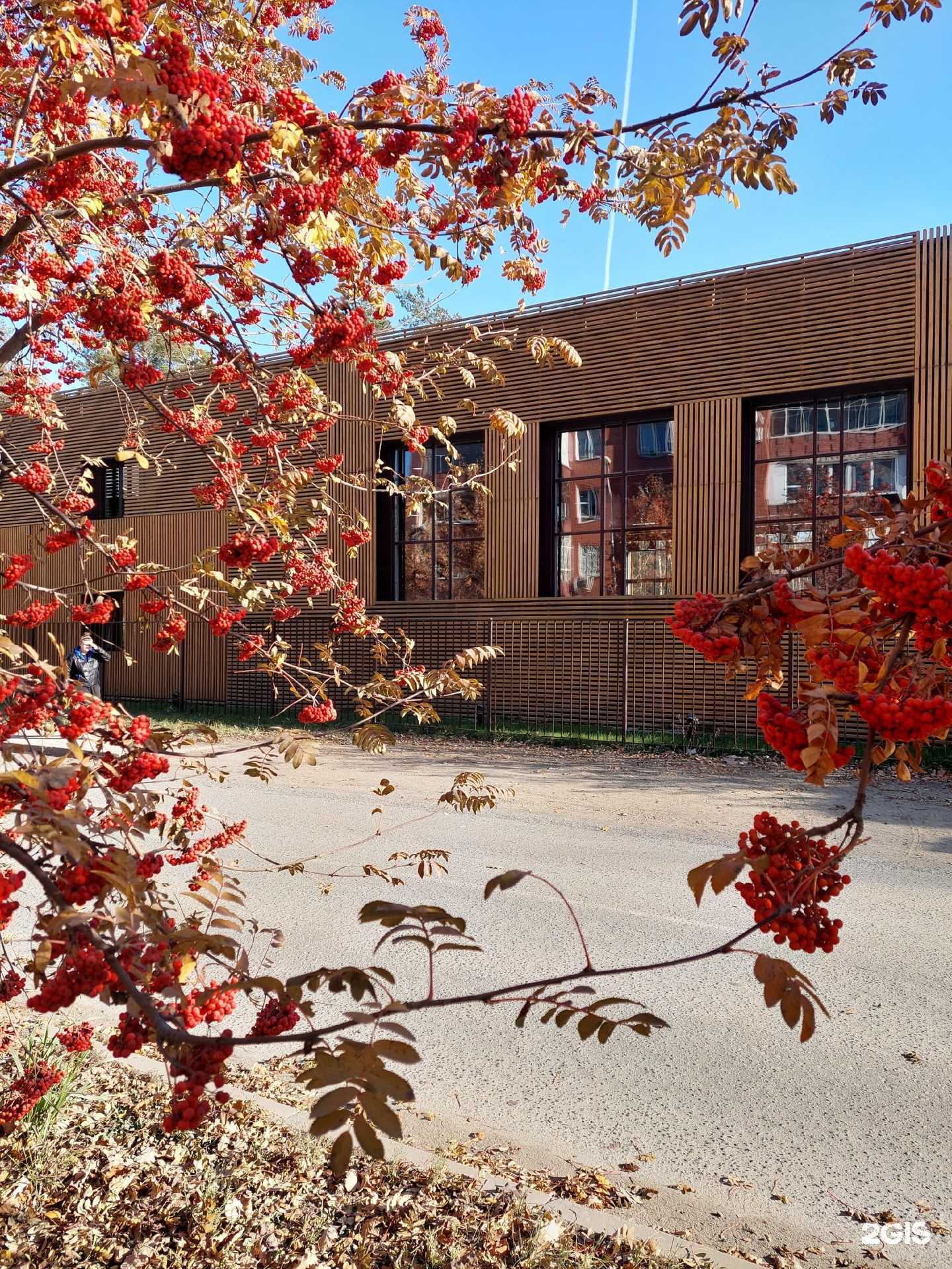 Отзывы на компанию Академия Бокса Сибирь в Новосибирске c фото - фотография 2 из 2