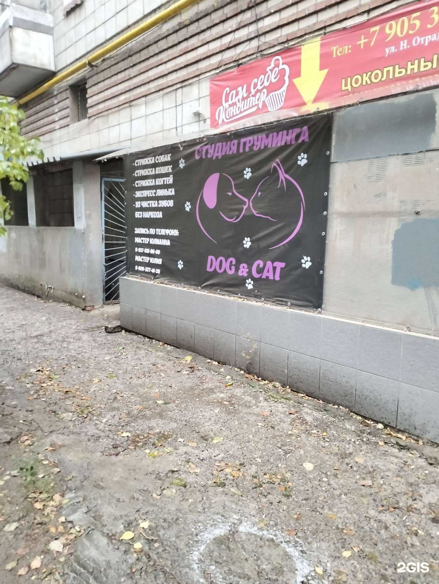 Отзывы на компанию Dog & Cat в г. Волгоград c фото