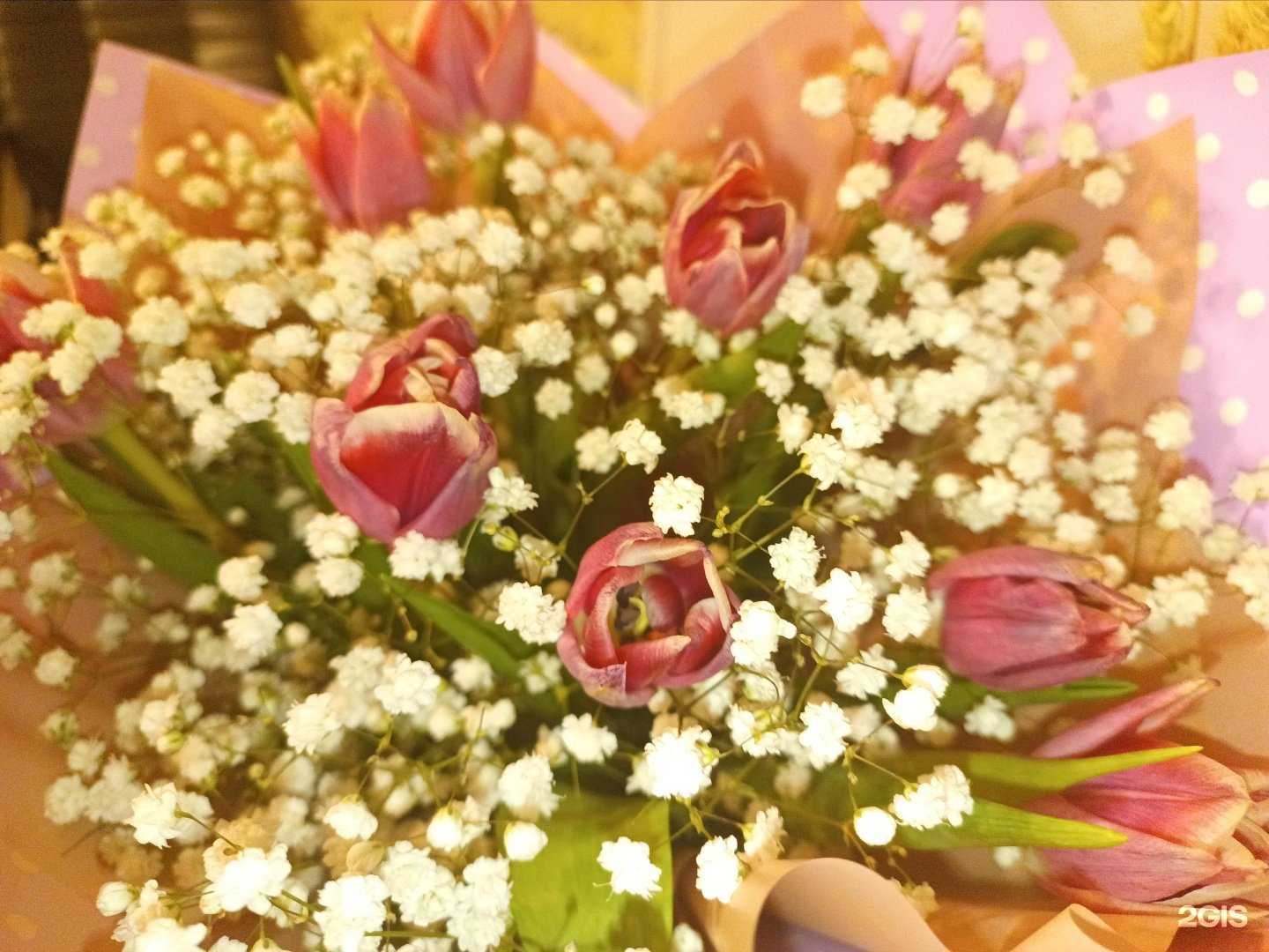 Отзывы на компанию Эдельвейс в Владимире c фото