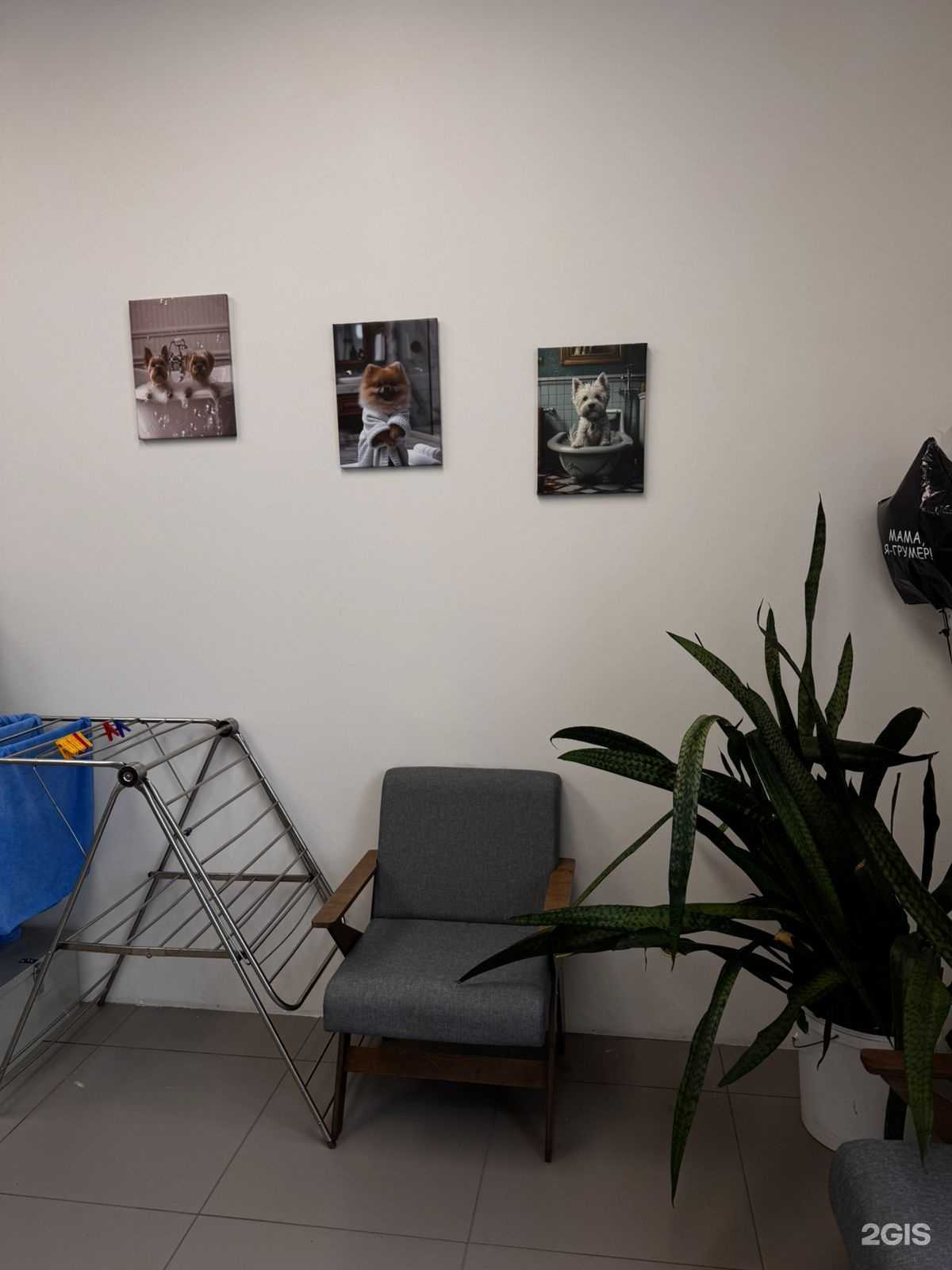 Отзывы на компанию ЗооЛюкс в г. Шебекино c фото