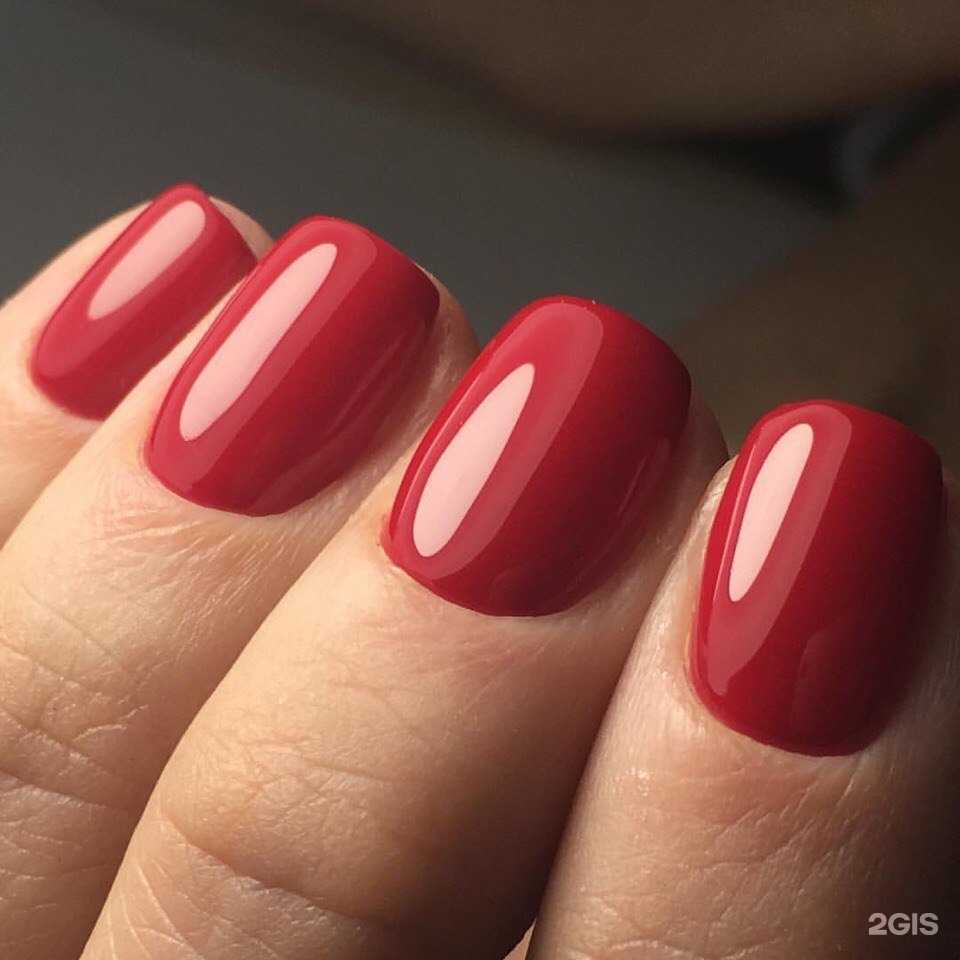 Отзывы на компанию Daniel в Самаре c фото