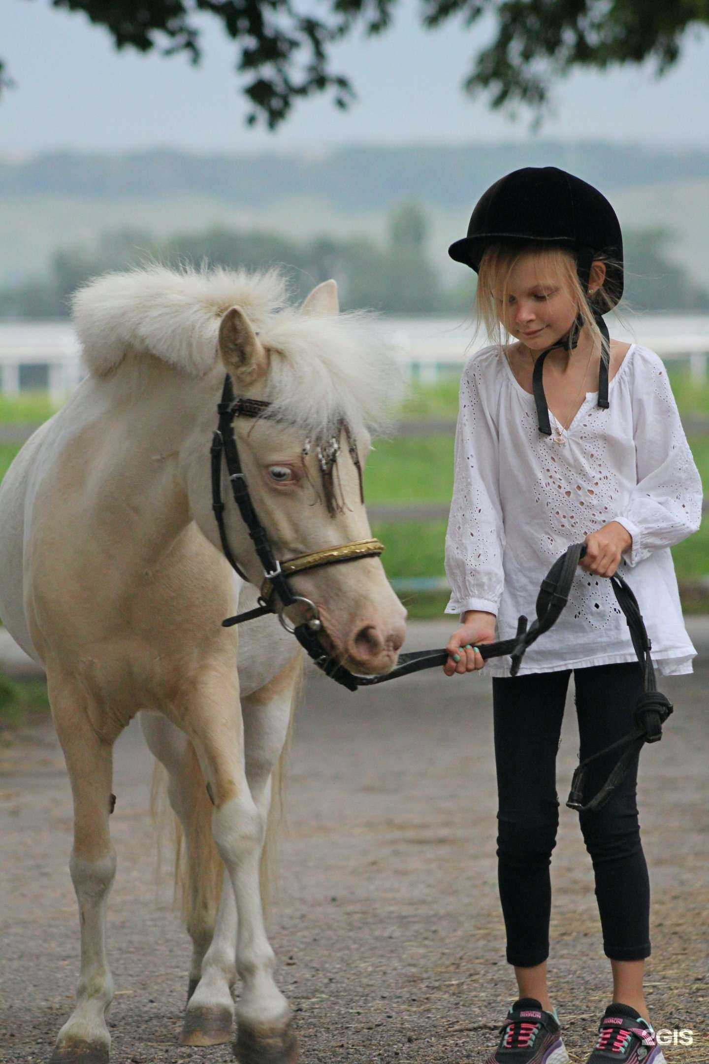 Отзывы на компанию Пони град в г. Пятигорск c фото