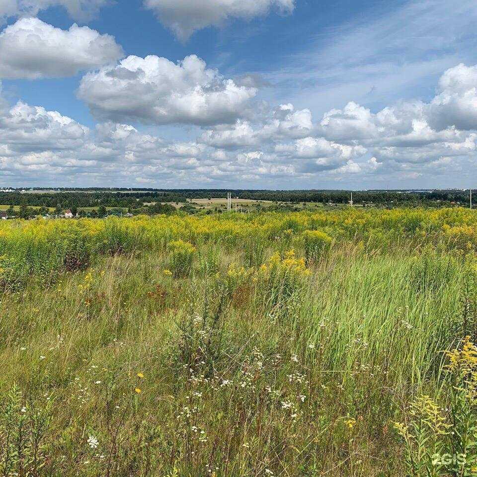 Отзывы на компанию Луговое57 в Орле c фото