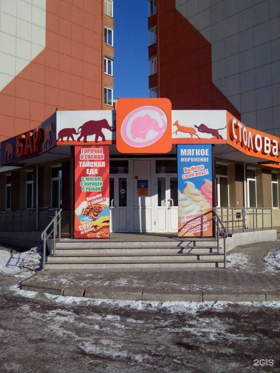 Отзывы на компанию Съем слона в г. Красноярск c фото
