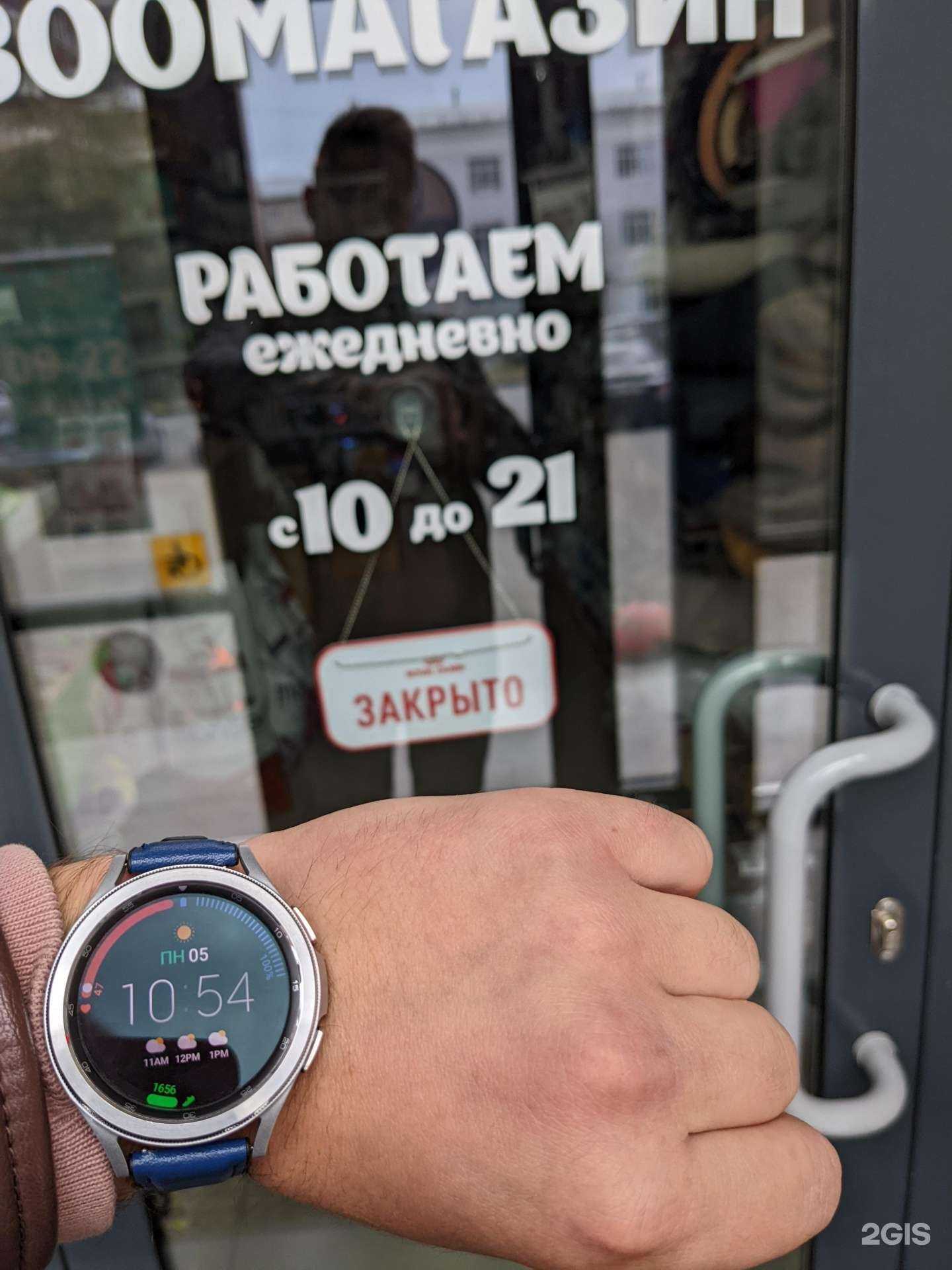 Отзывы на компанию Мир хвостатых в г. Екатеринбург c фото