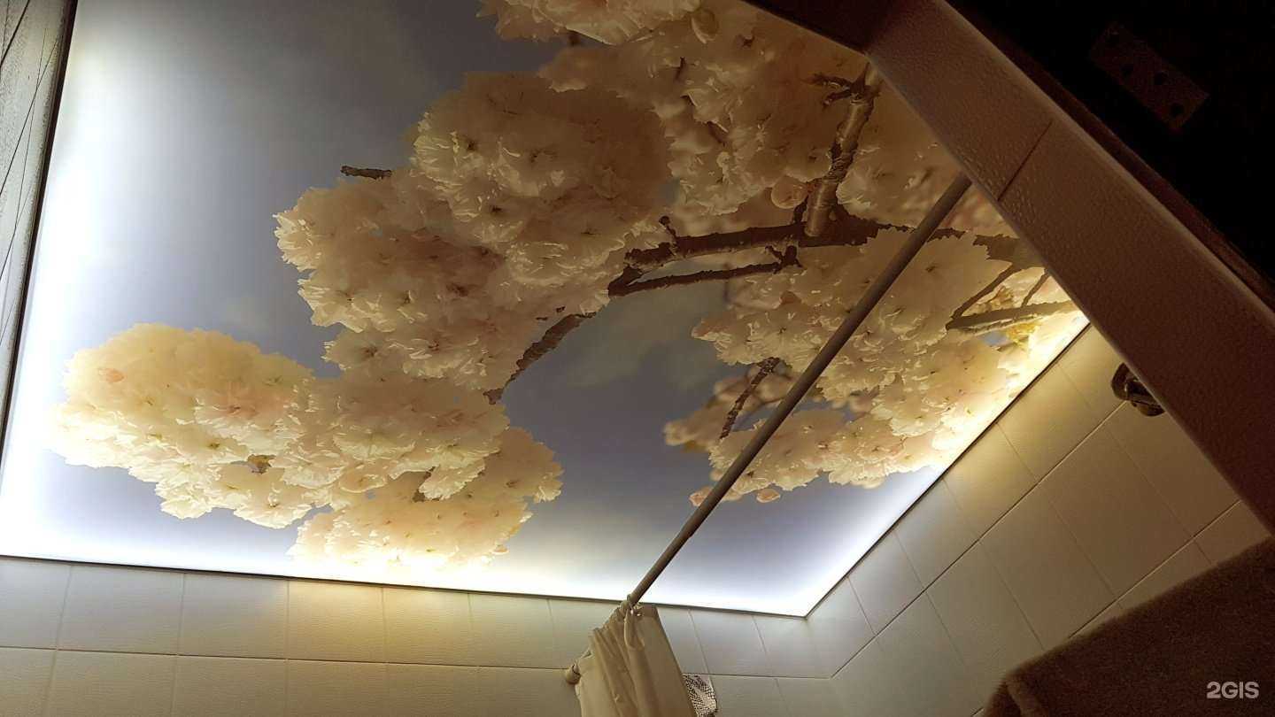 Отзывы на компанию Абрис в Щёлкове c фото