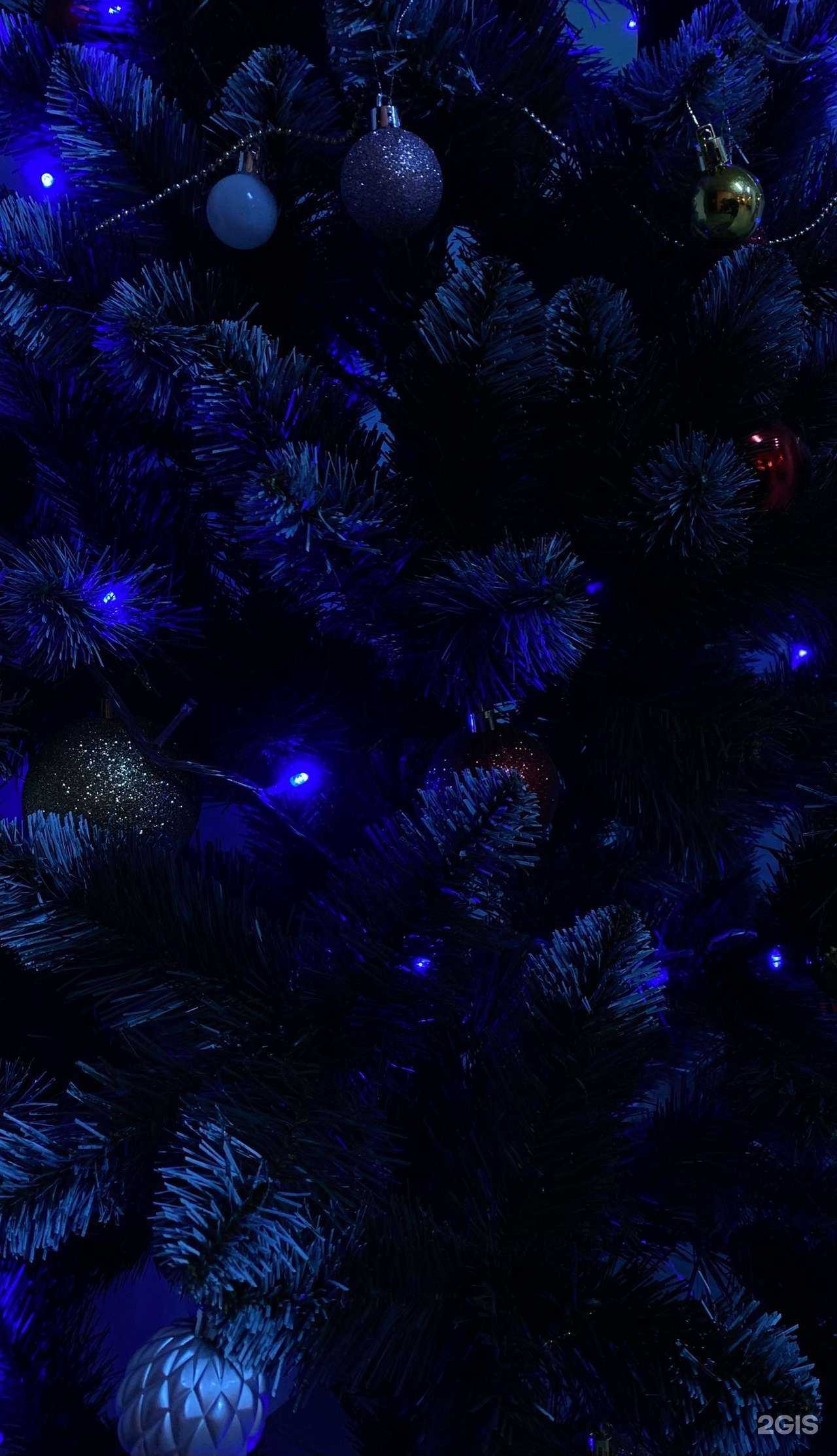 Отзывы на компанию ПО в Кудымкаре c фото