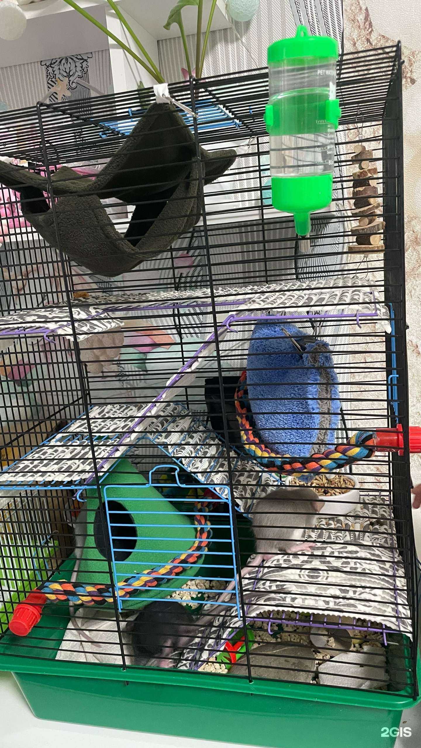 Отзывы на компанию Флора Фауна в г. Набережные Челны c фото