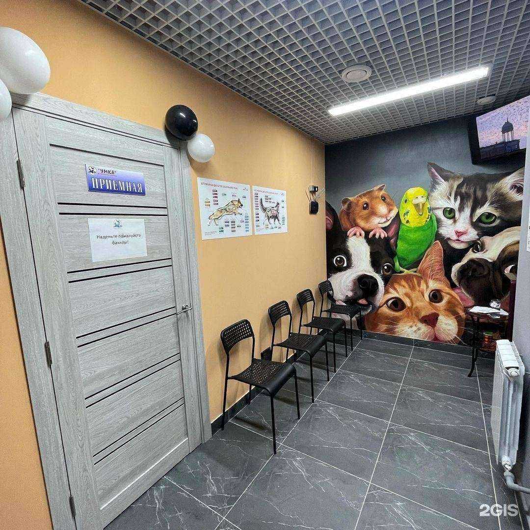 Отзывы на компанию Умка в Большое Камени c фото