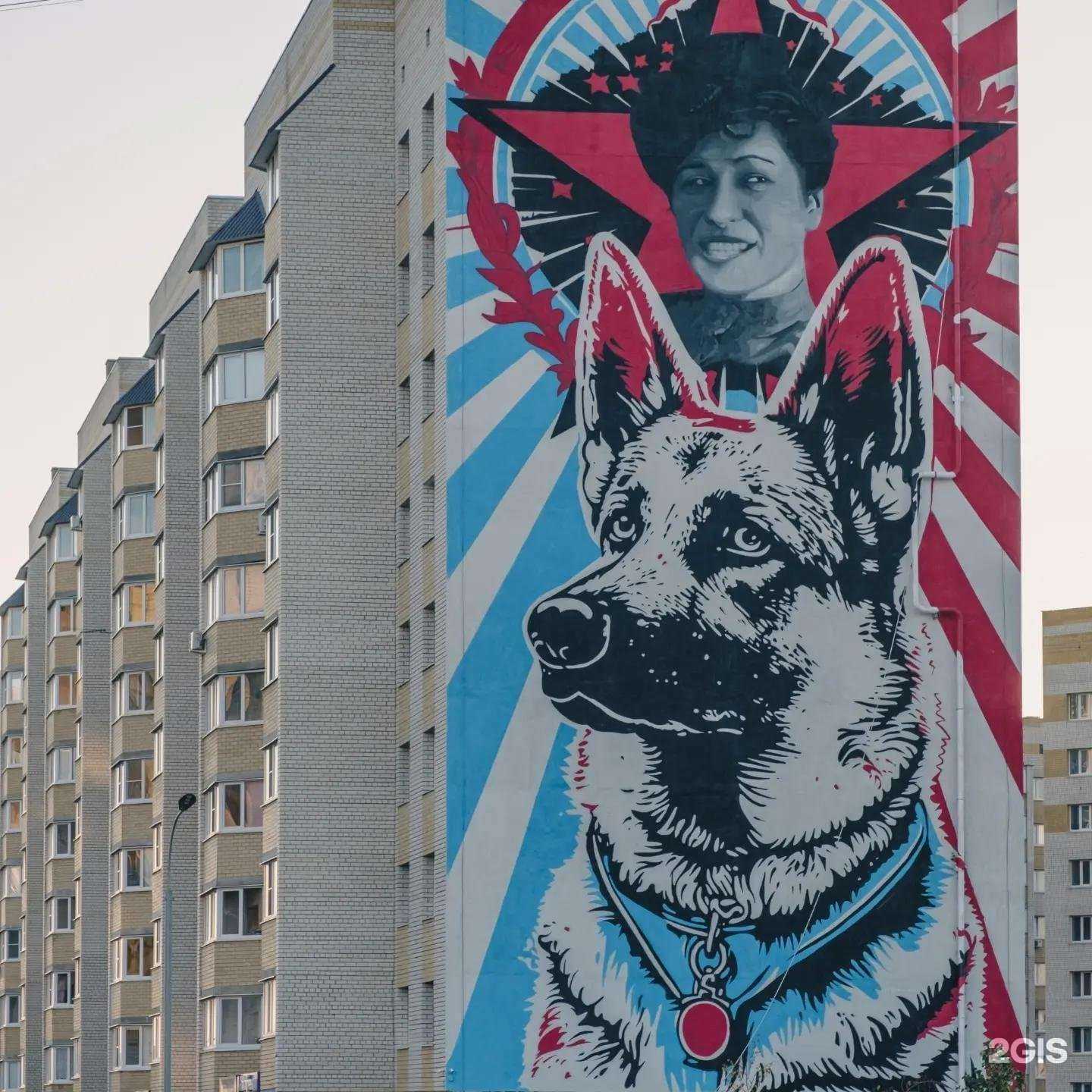 Отзывы на компанию Сustom shop в Тамбове c фото - фотография 2 из 2