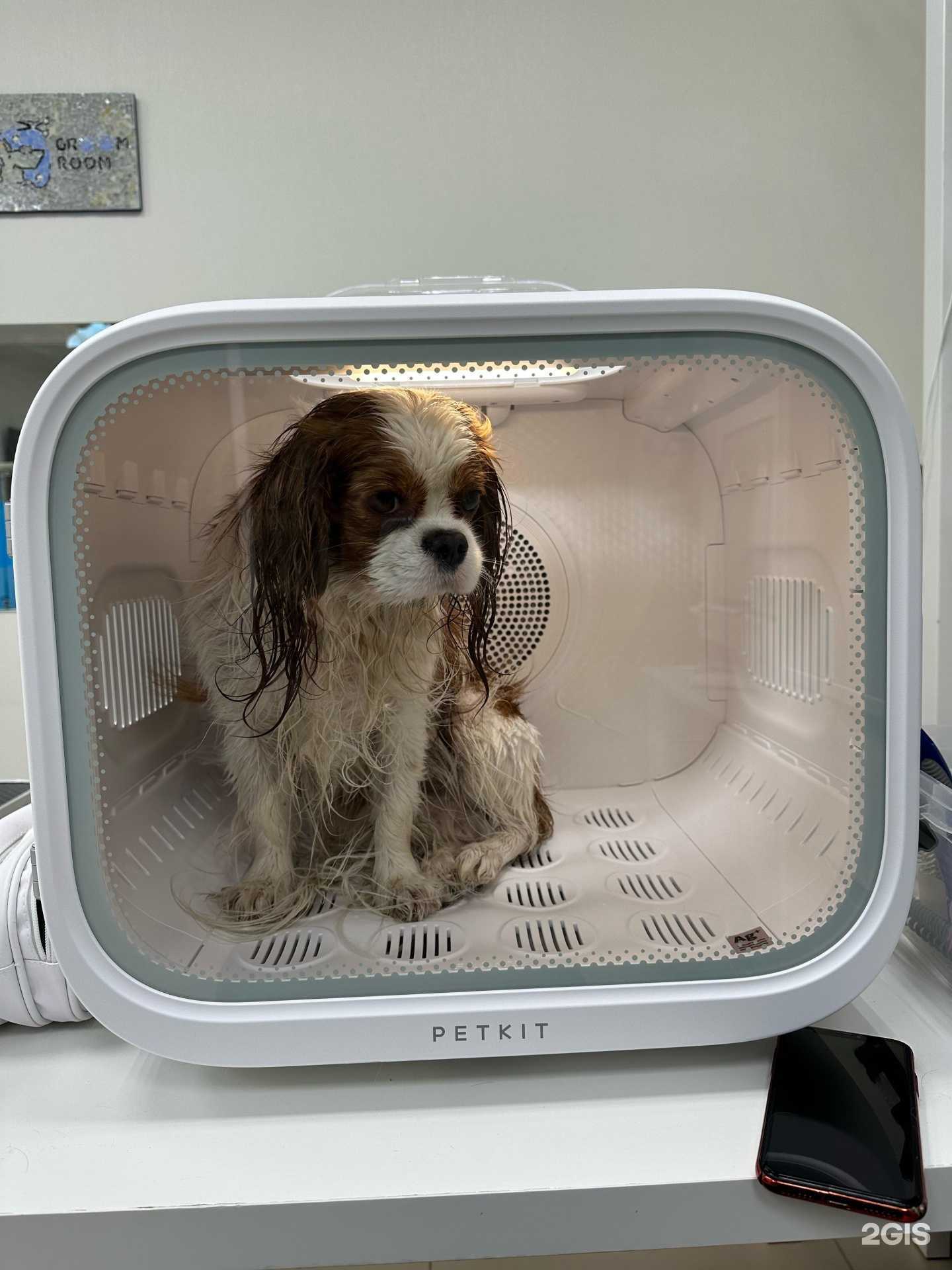 Отзывы на компанию groom room в г. Самара c фото