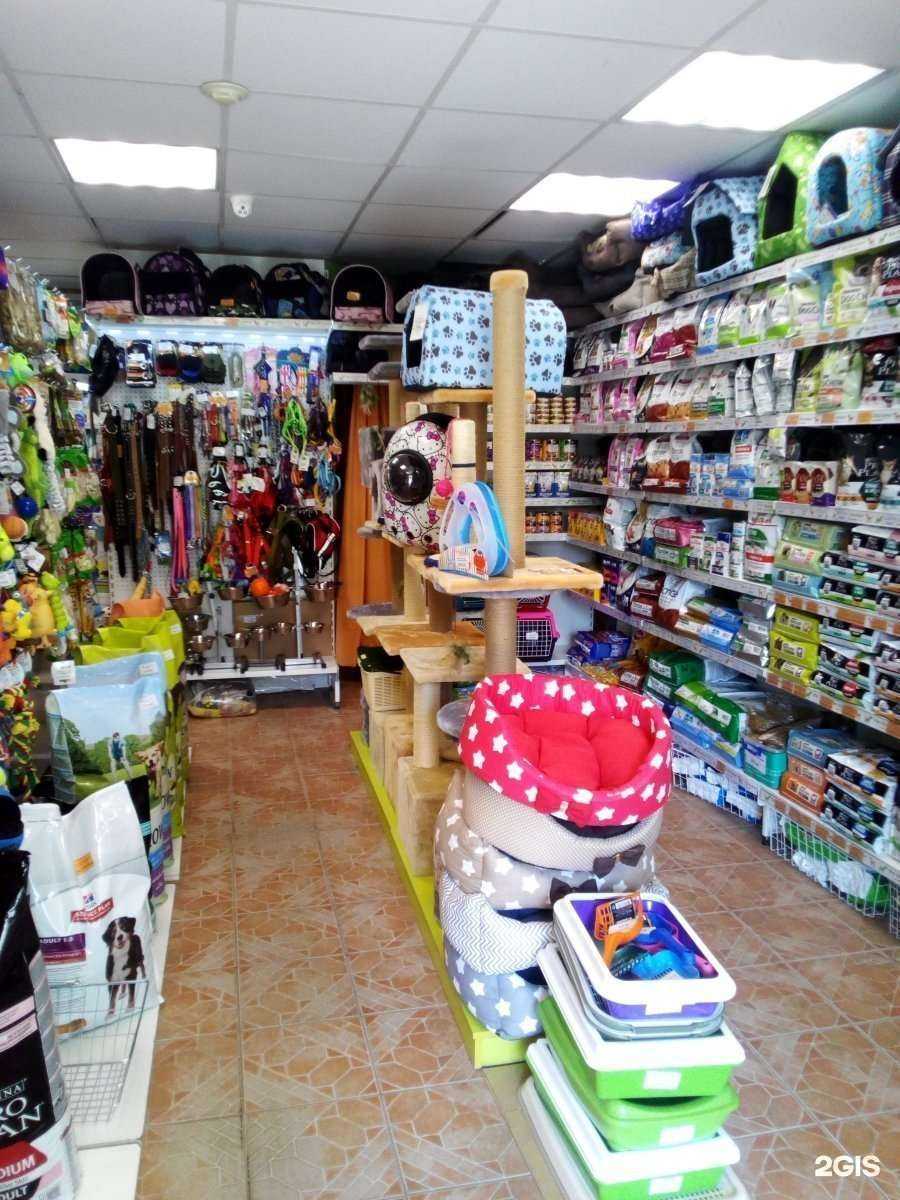 Отзывы на компанию Мир хвостатых в Перми c фото