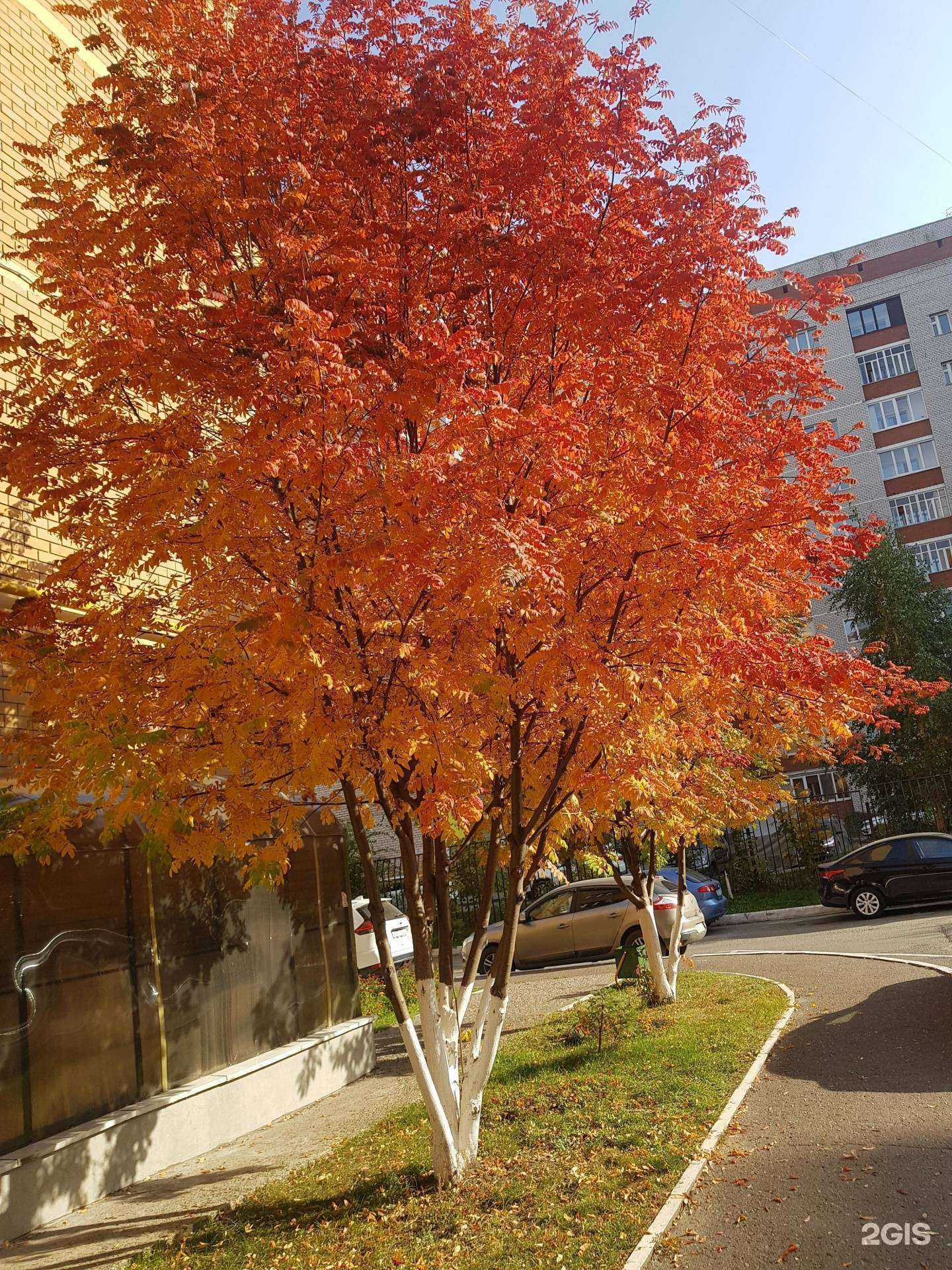 Отзывы на компанию Серта в г. Казань c фото
