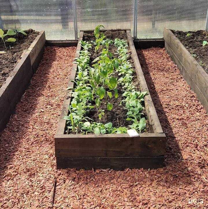 Отзывы на компанию Мульча Кора 54 в г. Новосибирск c фото