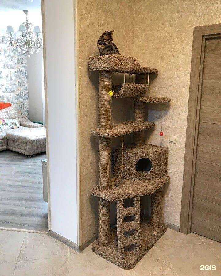 Отзывы на компанию Зоомагазин в г. Самара c фото