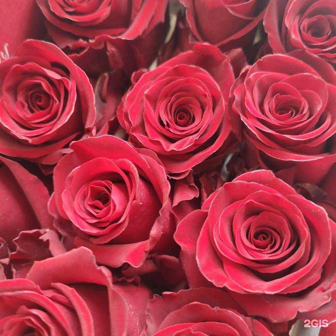 Отзывы на компанию Цветы здесь в Новомосковске c фото